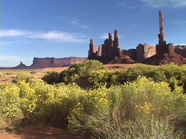 Clusters of rabbit, brush bloom at the base of the Totem Pole rock formation in Monument Valley, Utah.