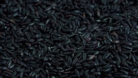 Black Rice (seamless loopable 4K footage)