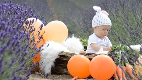 Infant baby girl in easter bunny costume in basket lavender field