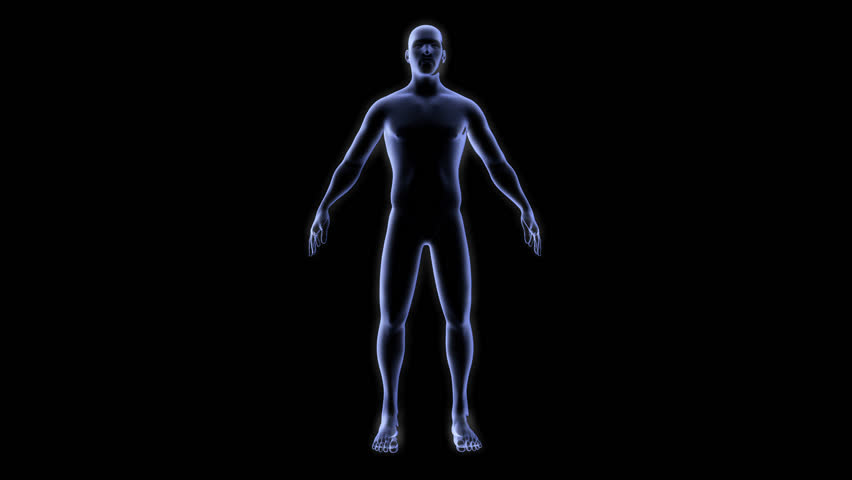 Body scan UP 3D, anatomy in x-ray UI, 3D human body scan, black, body ...