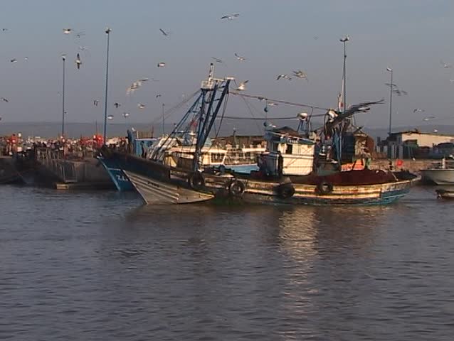 Fisherman boat entering the port, Morocco