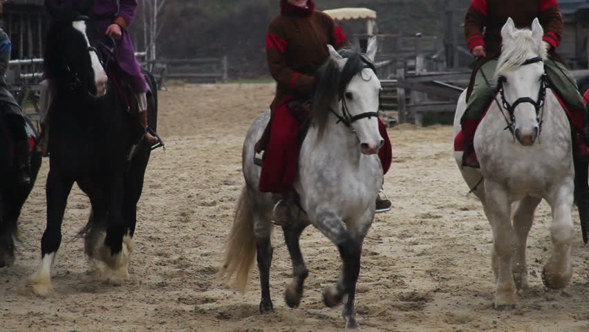 Many horsemen wearing medieval royal servant suits taming pedigree horses