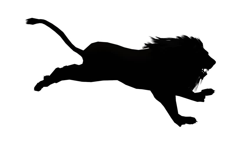 Lion Run Endangered Wild Animal Wildlife の動画素材 ロイヤリティフリー 1398 Shutterstock