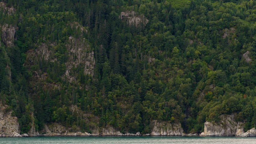 Alaska Tongass Forest Sea Cliffs Ridges Pan