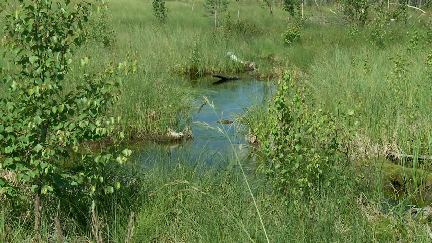 small river in Siberia