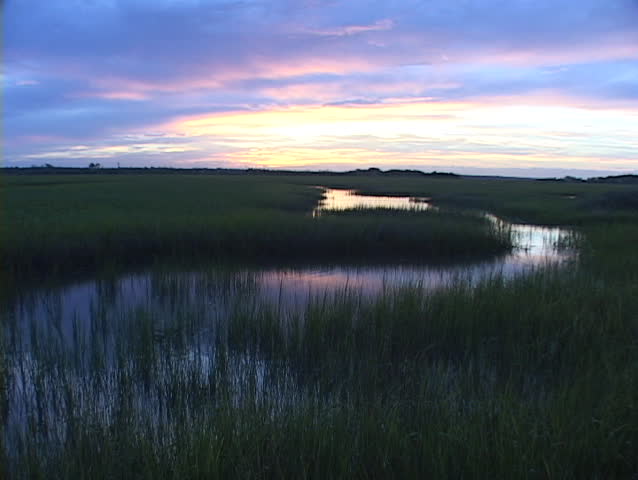 A colorful sky is reflected in marsh water.