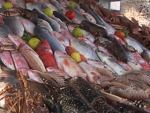 At the Fish Market -- a selection of various fresh seafood  is being offered at an outdoor market