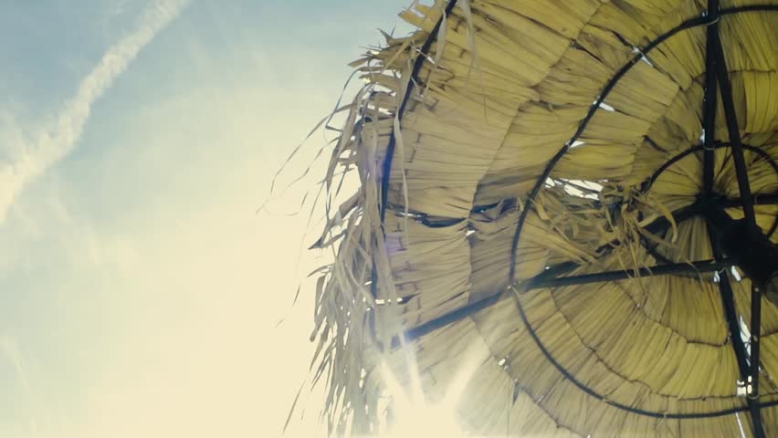 Beach umbrella in a bright day