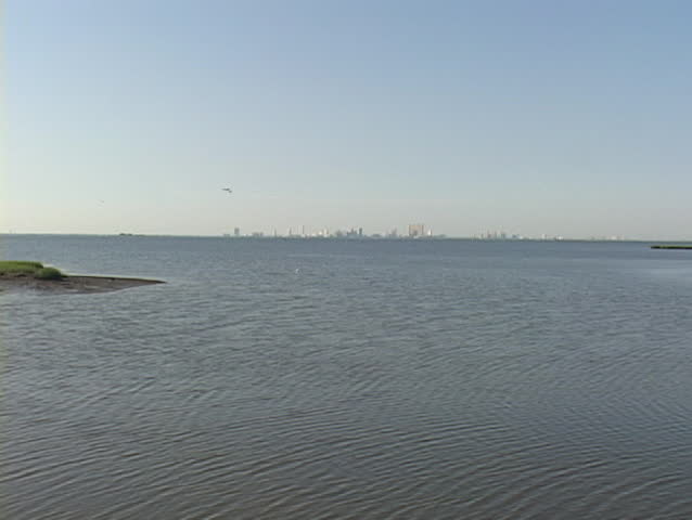 Medium shot of shorebirds wading the ocean with   skyline of Atlantic City, New Jersey in the background.
