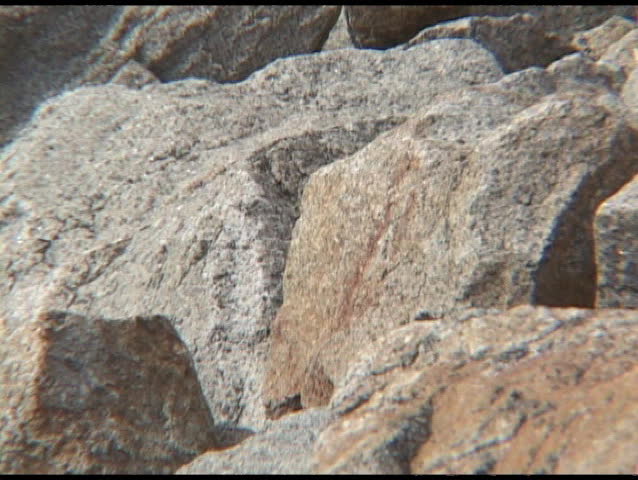 Zoom-out from shoreline stones to the Plymouth Rock Memorial.