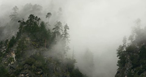 4k time lapse of mountain mist rising in the morning,fog pine trees,such as wonderland.Bomi County in tibet,the largest precipitation area in China. gh2_09933_4k