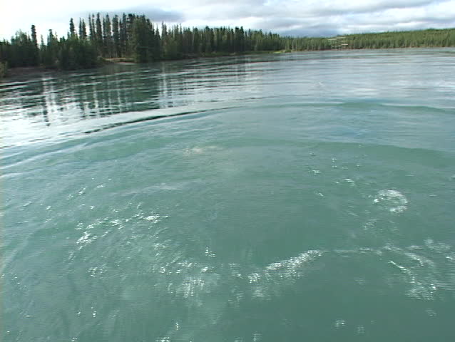 A salmon or trout is netted from a boat.