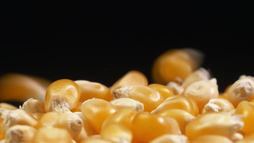 pouring corn kernel seeds into plate Stockvideoklipp (helt royaltyfria) 140...