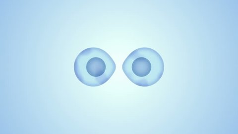 Binary Fission Transparent Cell Division 3D Blue Motion Graphic Video