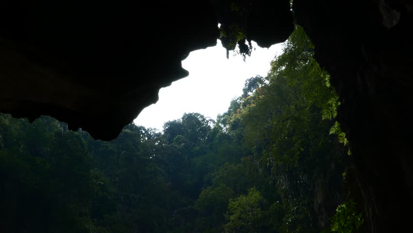 Cave Opening View, Dripping Water Stock Footage Video (100% Royalty ...