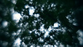 Wonderful white and blue bubbles of cloudy sky light on dark green background of defocused tree leaves. Amazing nature in fairy tale style for dream. Adorable abstract view in amazing full HD clip.