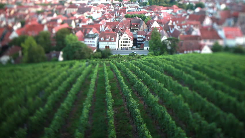 a tilt and shift shot of a city near a vineyard