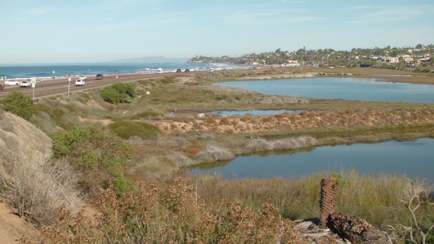 Beautiful Marsh