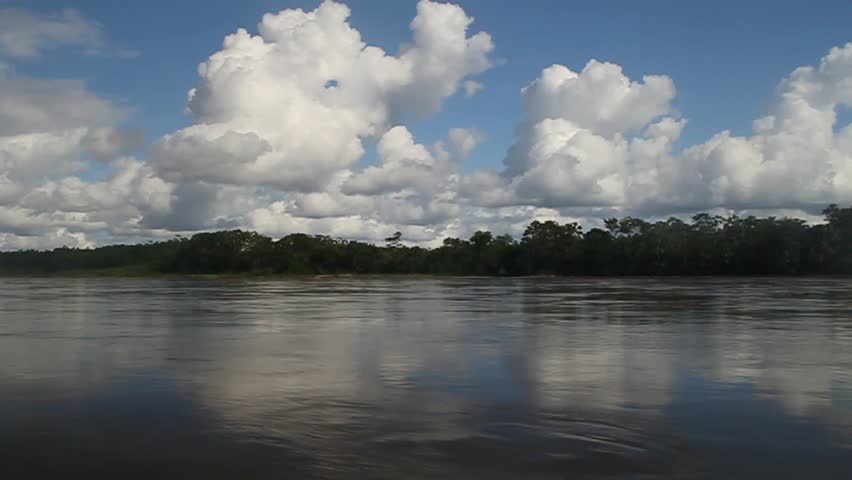 Jungle Along River Napo Ecuador Stock Footage Video (100% Royalty-free ...