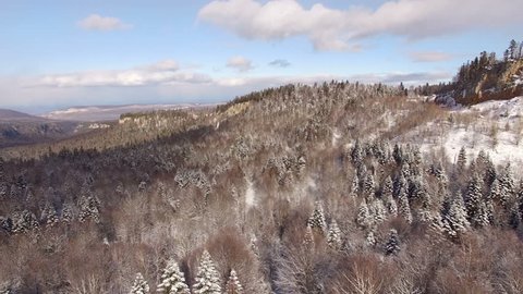 Aerial View Flight Above Winter Forest