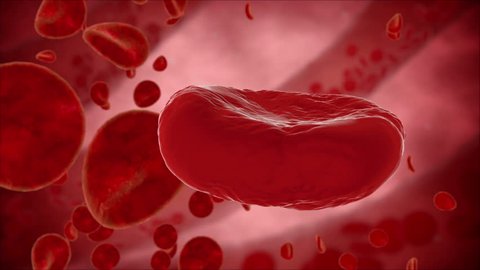 Blood cell, eritrocite inside organism view. Medical concept स्टॉक वीडियो