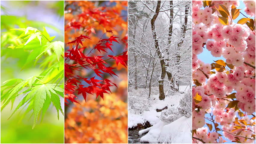 Four Seasons Collage: Spring, Summer, Autumn, Winter 