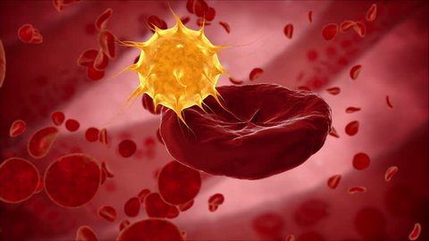 Virus, bacteria, microbe kills the blood cell, eritrocite. Medical concept.  Video Stok