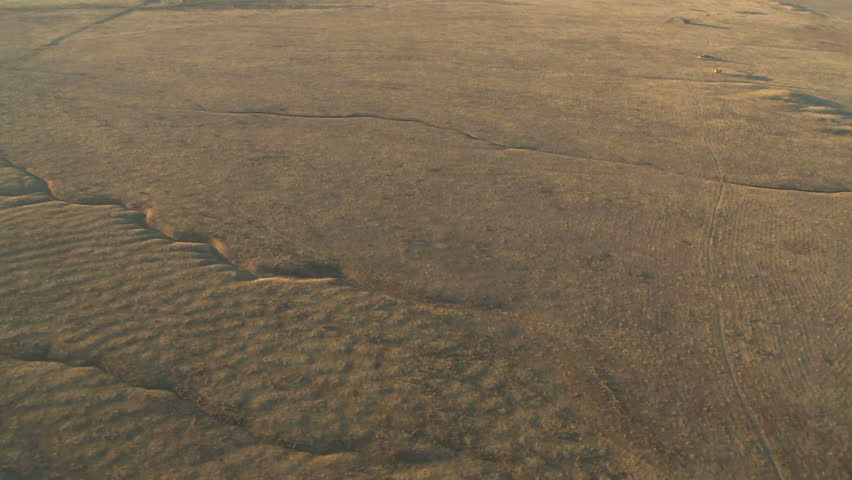 aerial shot of Carizzo Plain 
