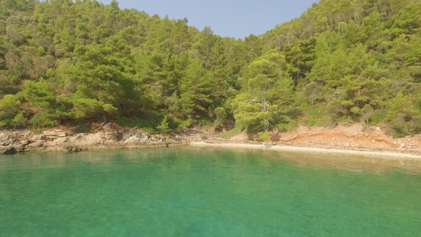 Flyover the beach and the pine trees behind