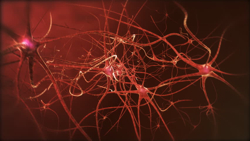 Neuron network. Neurons structure sending electric impulses and communicating each other. 3D animation. Looping. Royalty-Free Stock Footage #1408789