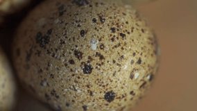Macro dolly video of quail eggs on cutting board, shallow focus, view from above