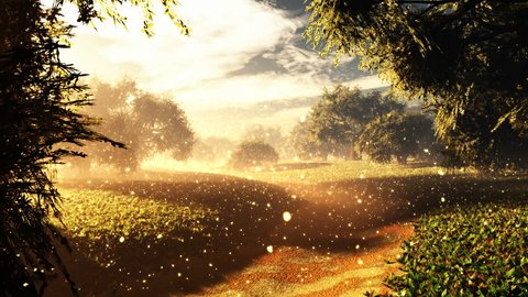 Amazing Natural Wonderland with Fireflies in the Sunset Sunrise 3D Animation with cinematic camera motion