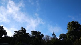 Footage of cloud moving motion in clear sky