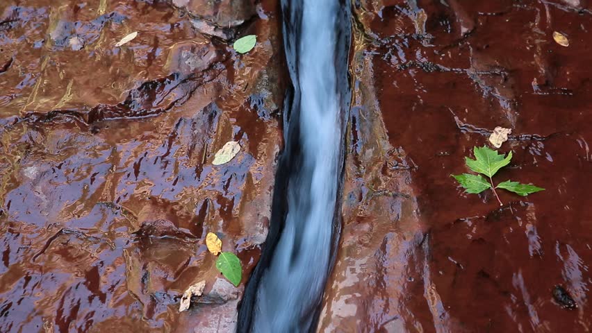  Mystical Subway canyon at Zion National park which water carved in sandstone