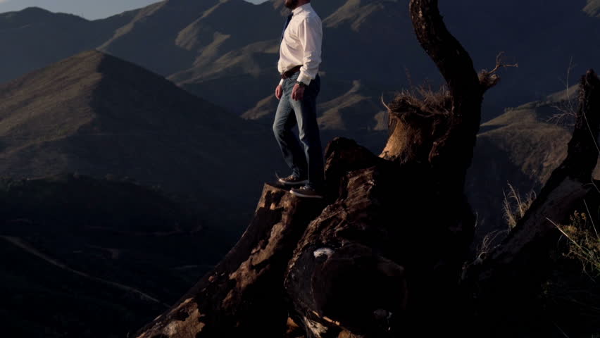 Pensive young businessman standing on the trunk in the country mountains
