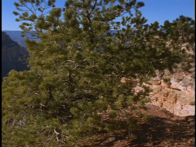 A rocky bluff overlooks the Grand Canyon in Arizona.