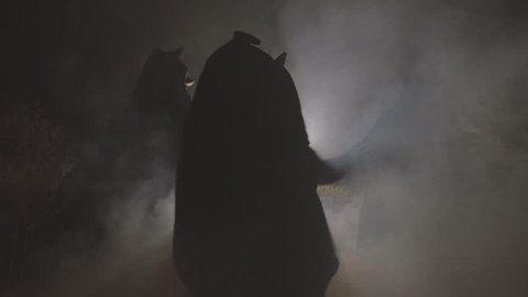 Witch silhouette hexing in dark smoke