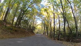road through the mountainous woodland in early autumn, video with Go Pro
