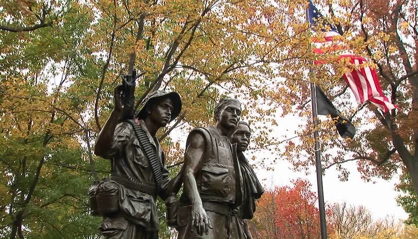 The Vietnam Veteran
