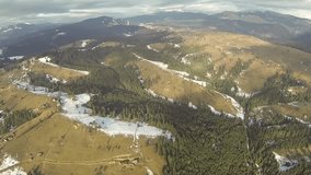 Aerial shot of coniferous forest in the Carpathian mountains, spring