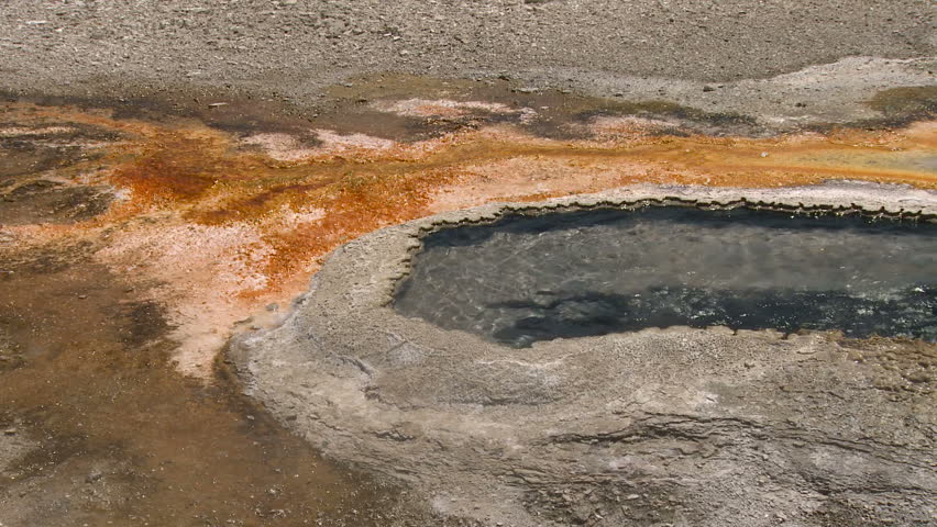 Geyser bubbles in Yellowstone