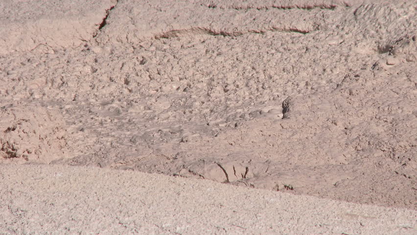 Mud pots in Yellowstone National Park