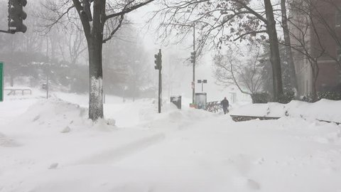 WASHINGTON, DC - JAN. 23, 2016: Wind whips snow in Blizzard; pedestrian with dog appears. The two-day snow storm dumped two feet of snow on the city.