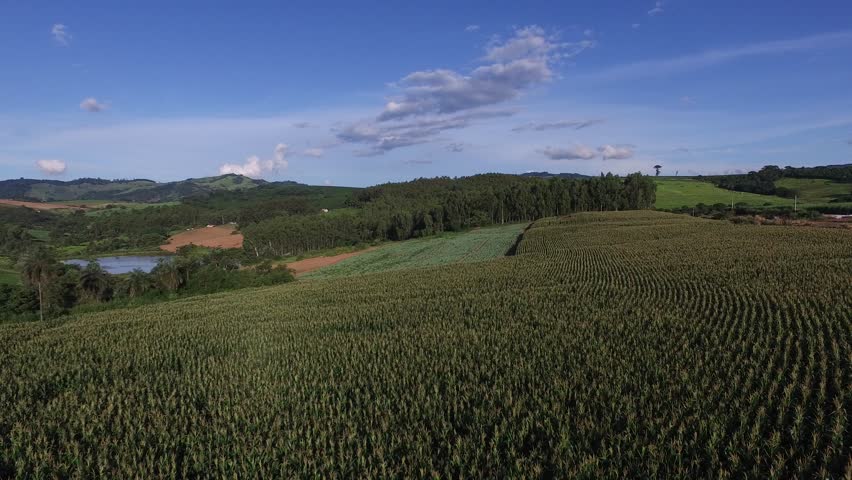 Aerial flight over corn field. Brazil.