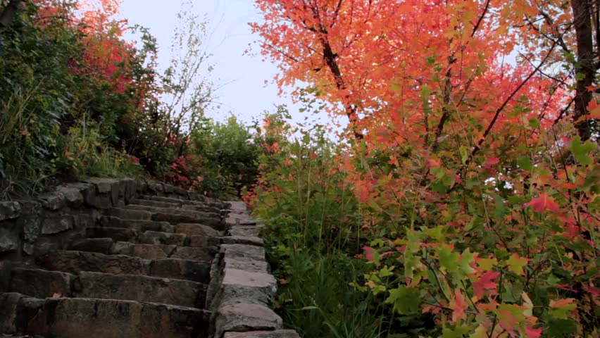 An old stone staircase surrounded by beautiful autumn leaves. (Dolly Shot)