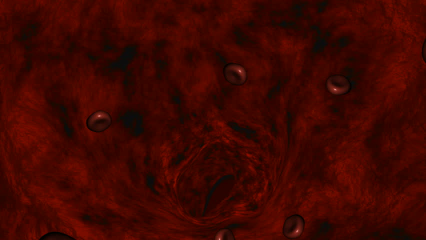 Blood Cells in Vein.  Seamless loopable. HD 1080i.