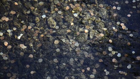 Coins in clear rippling water at the bottom of a waterfall/ well/ landmark