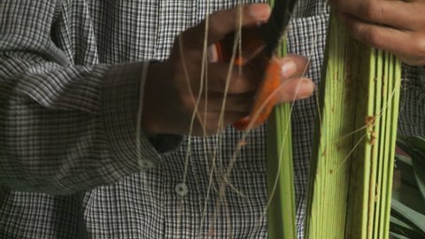 Baruipur, India - CIRCA 2013 - Closeup view man cutting plants with scissors