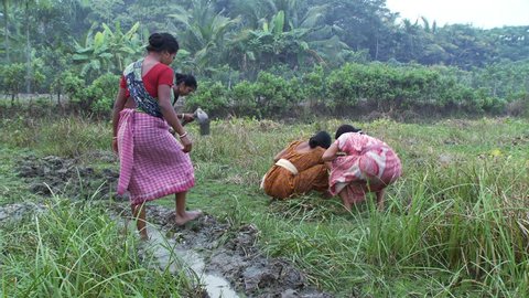 Baruipur, India - CIRCA 2013 - Women cultivating ground and digging irrigation ditch