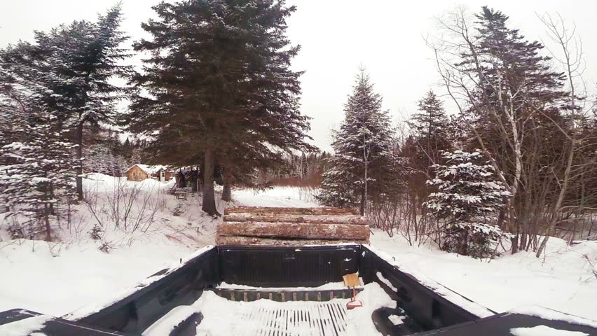 Pickup Truck with a Load of Timber Wood in a Trailer during Winter in Forest